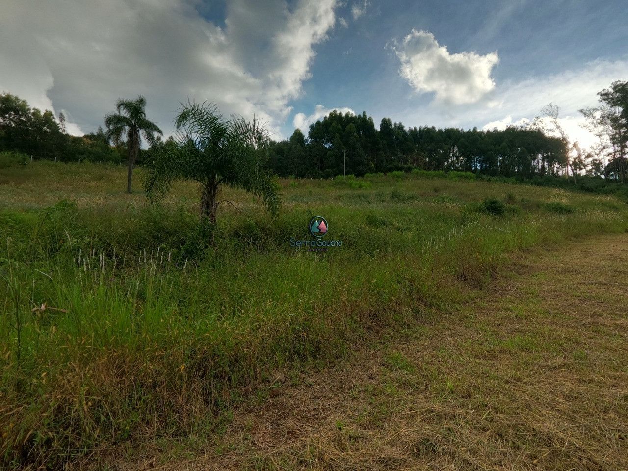 Fazenda à venda, 20000m² - Foto 7