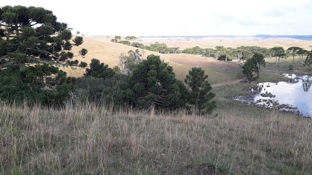 Loteamento e Condomínio à venda, 316000m² - Foto 9