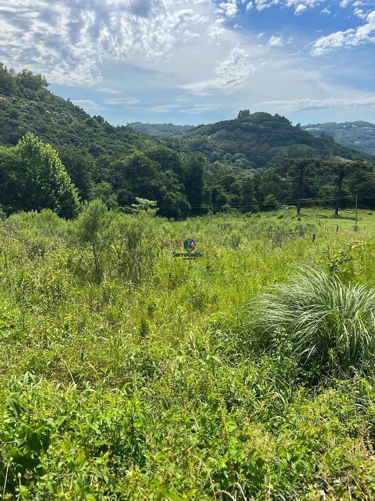 Fazenda à venda, 20000m² - Foto 21