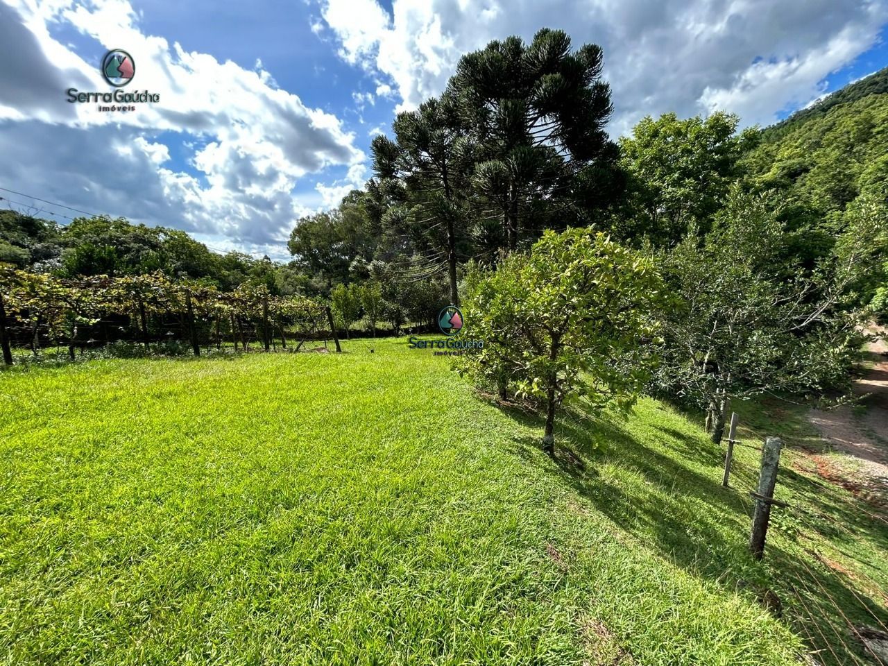 Fazenda à venda com 2 quartos, 120m² - Foto 13