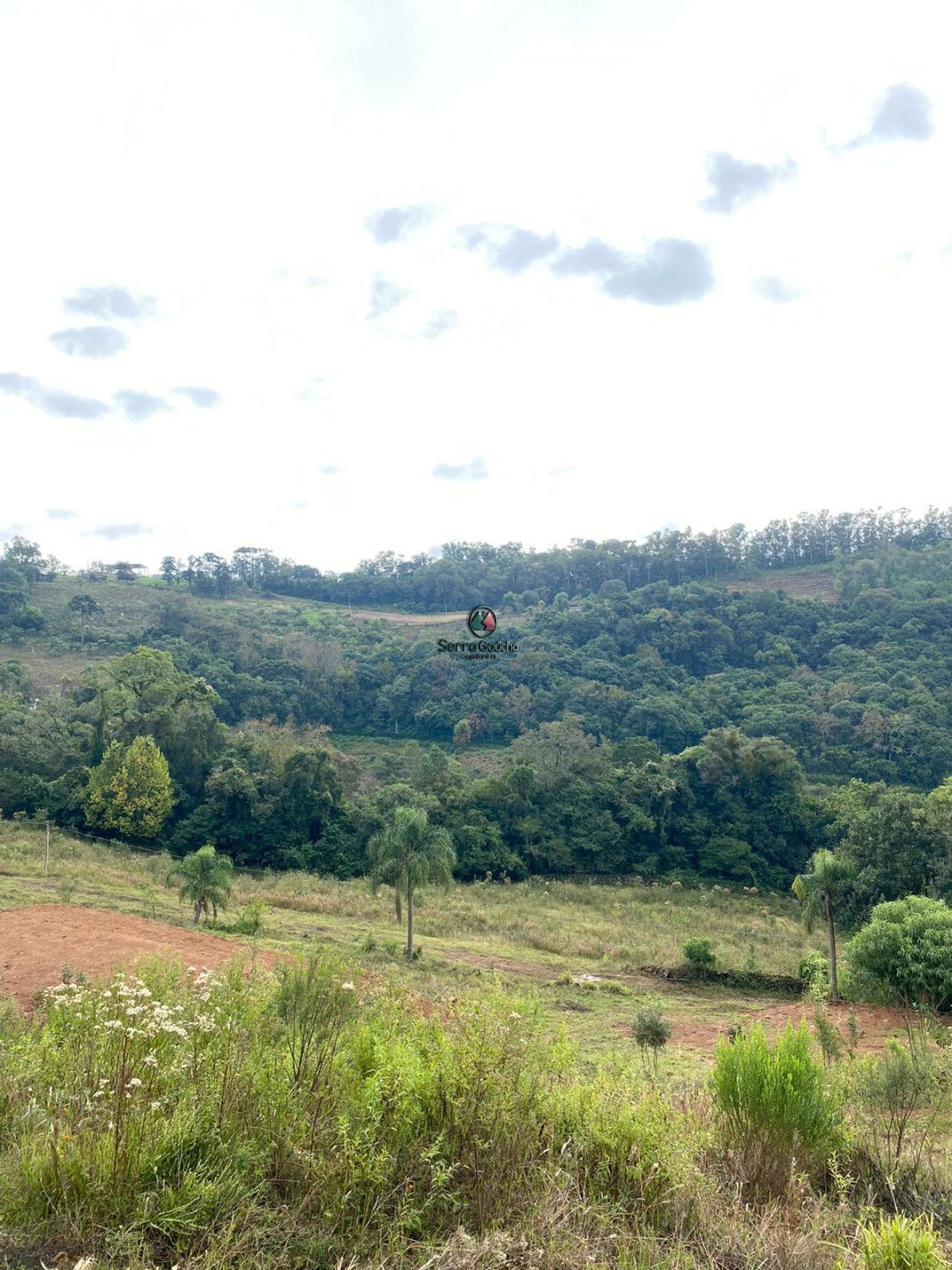 Fazenda à venda, 20000m² - Foto 17