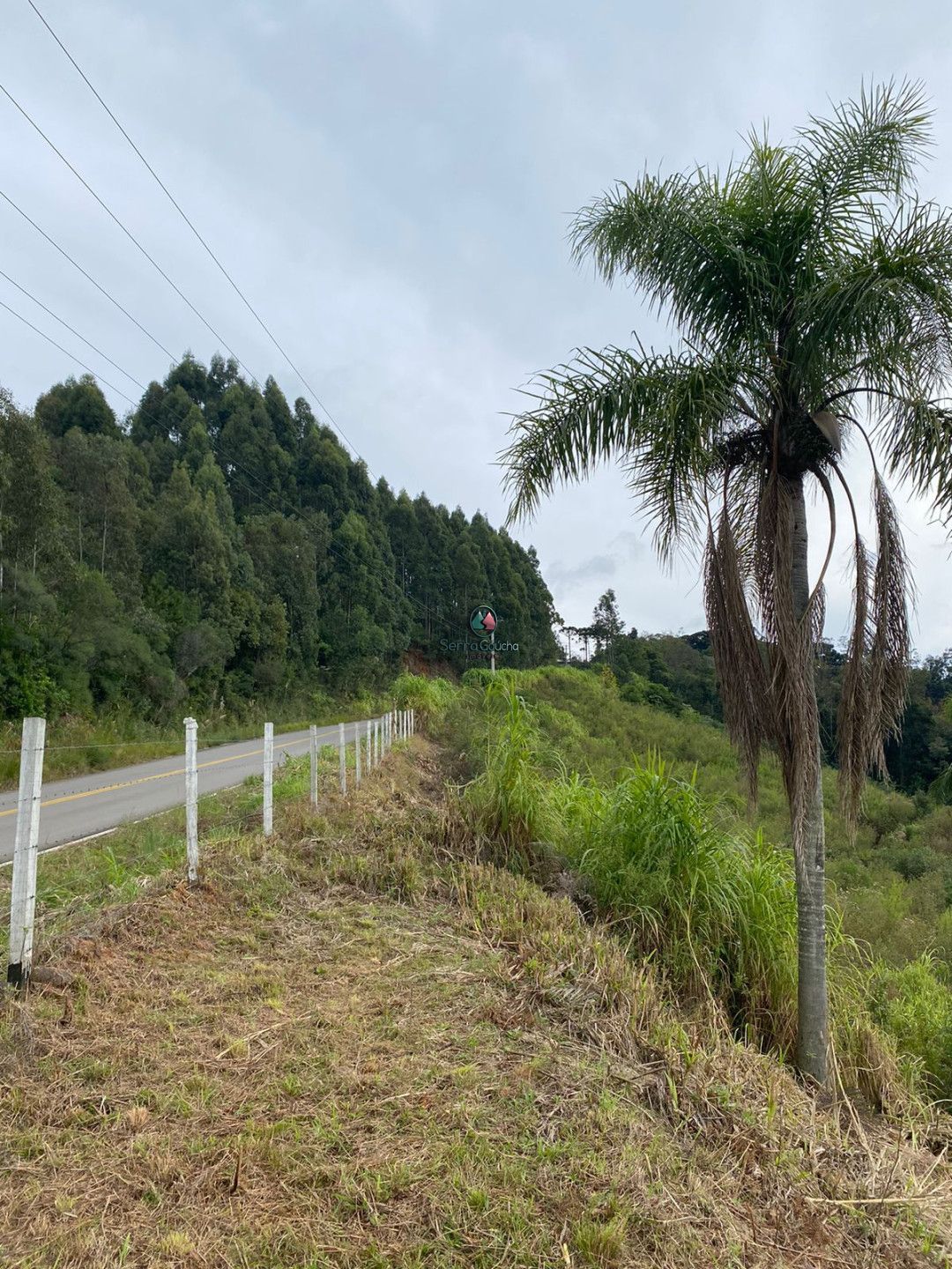 Fazenda à venda, 20000m² - Foto 16