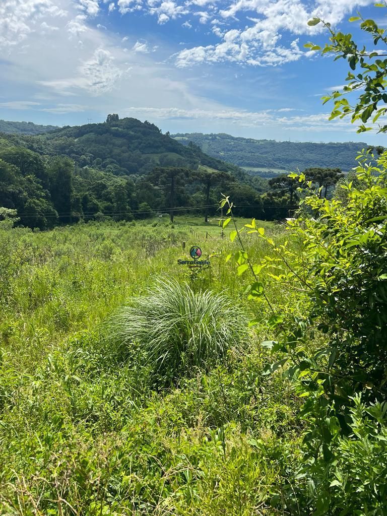 Fazenda à venda, 20000m² - Foto 26