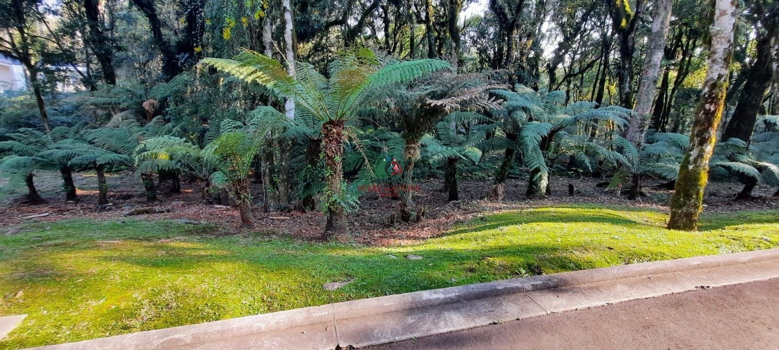 Terreno/Lote à venda  no Mato Queimado - Gramado, RS. Imóveis