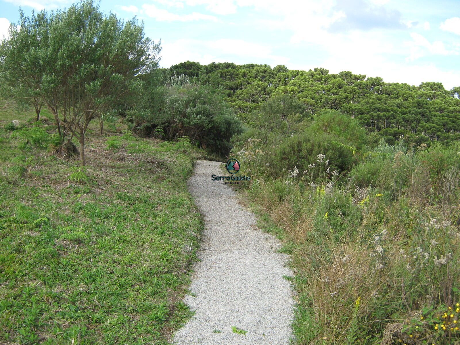 Terreno à venda, 800m² - Foto 39