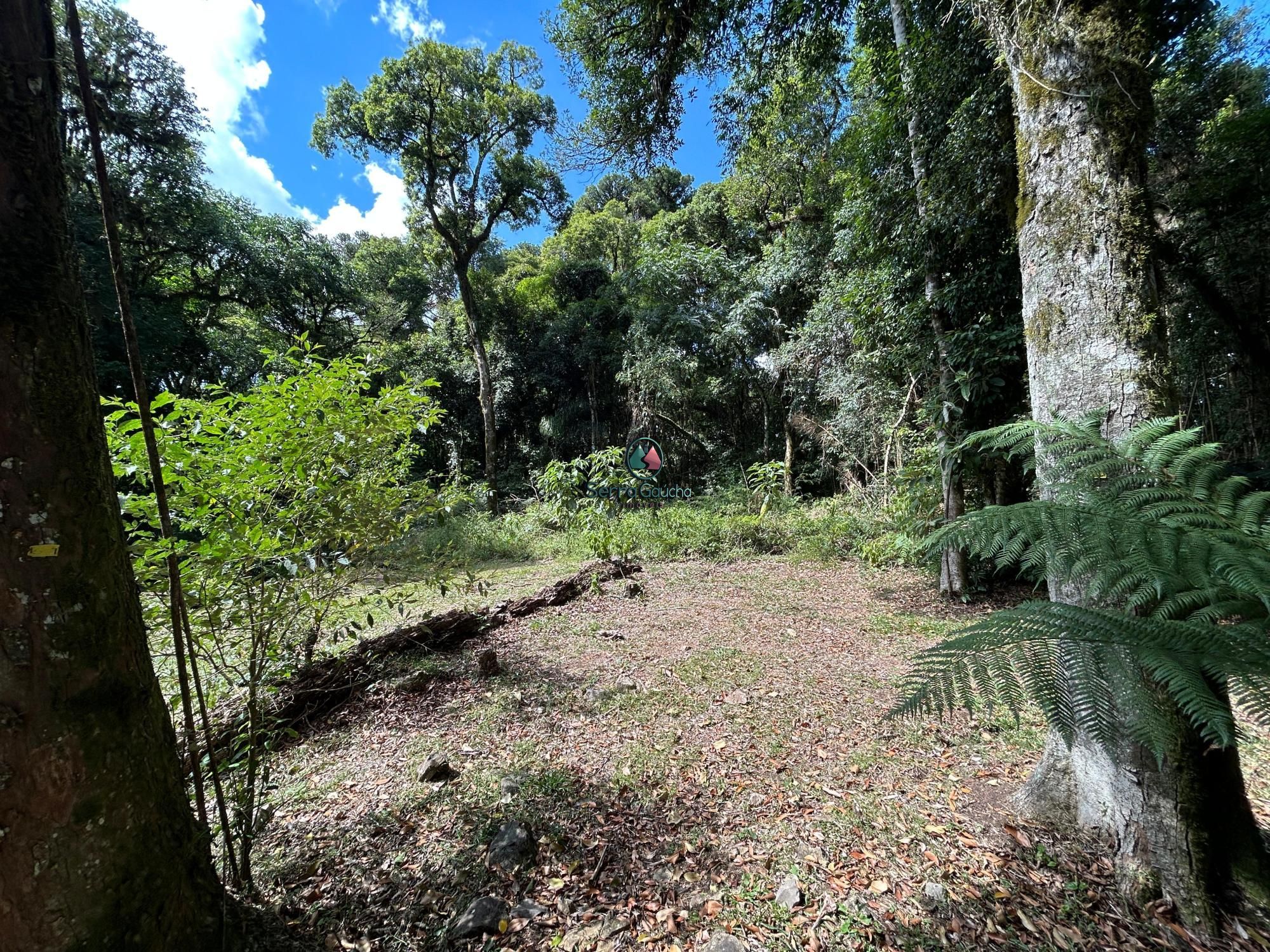 Terreno à venda, 1045m² - Foto 4