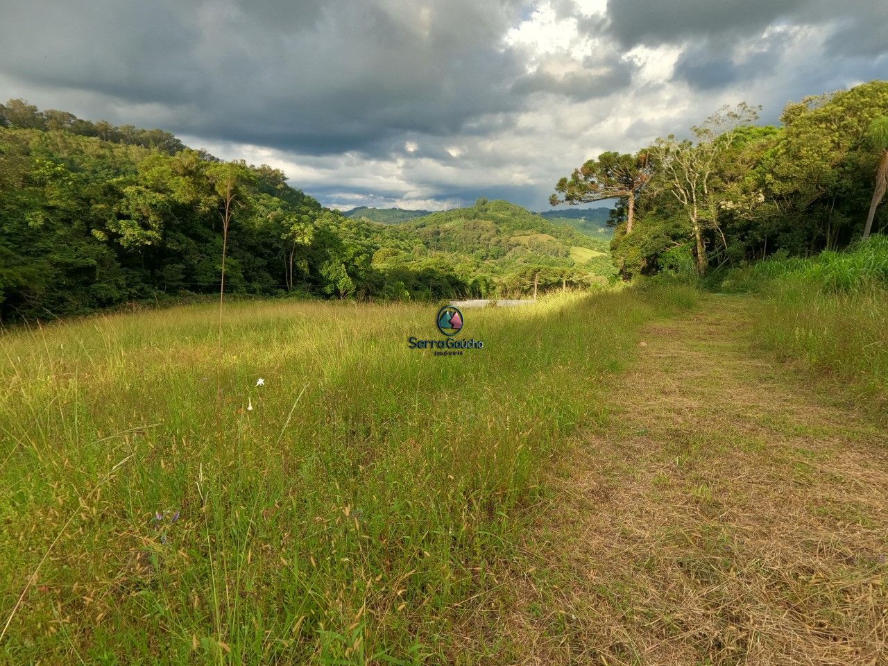 Fazenda à venda, 20000m² - Foto 8