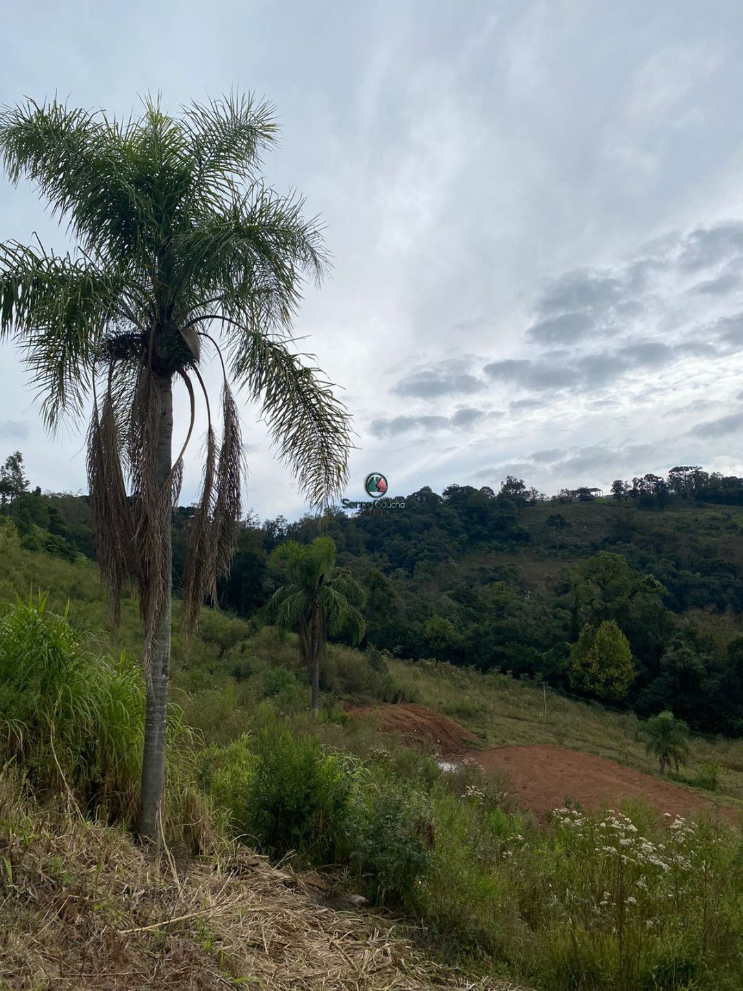 Fazenda à venda, 20000m² - Foto 15