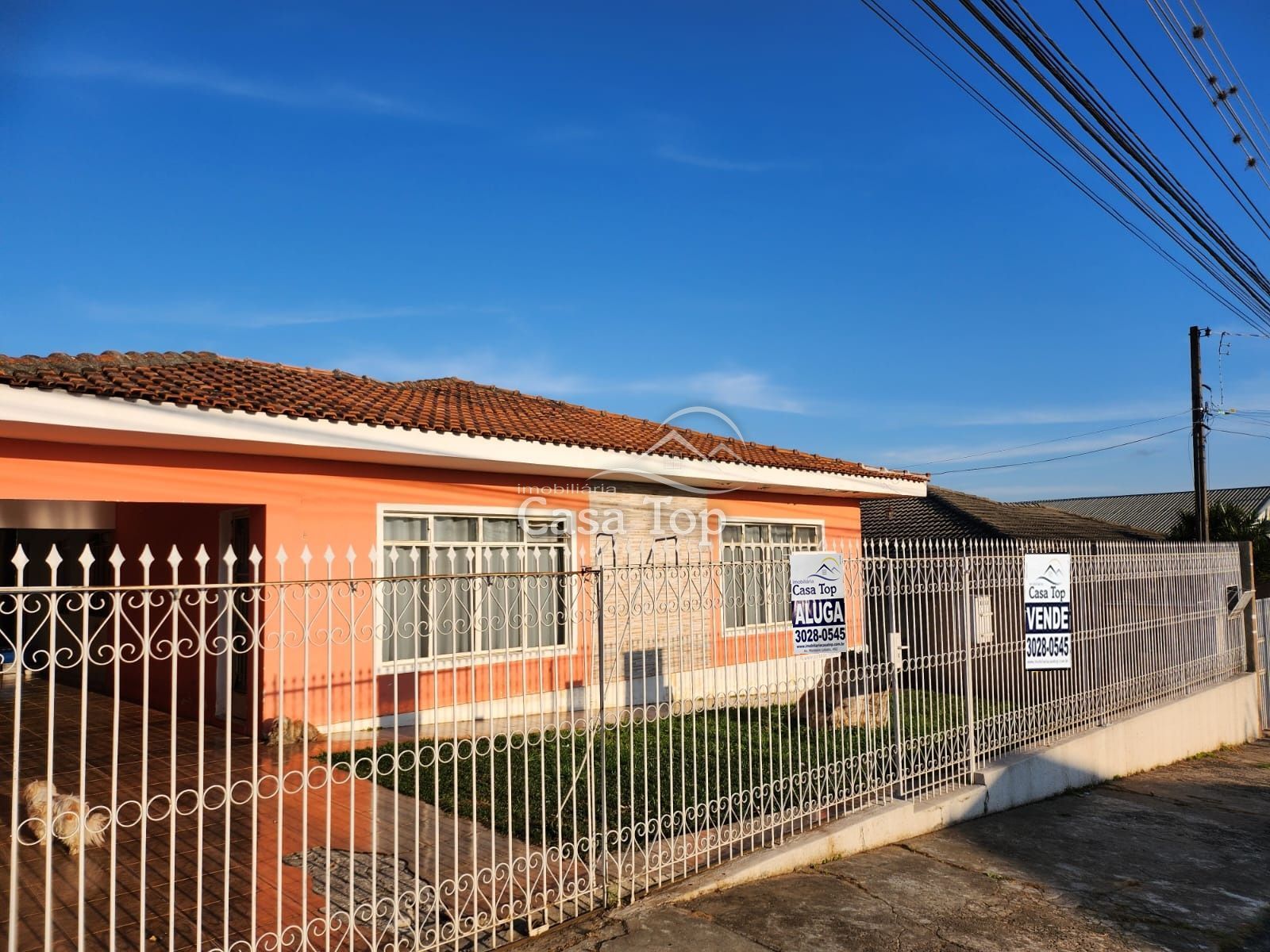 Casa comercial para alugar Nova Rússia