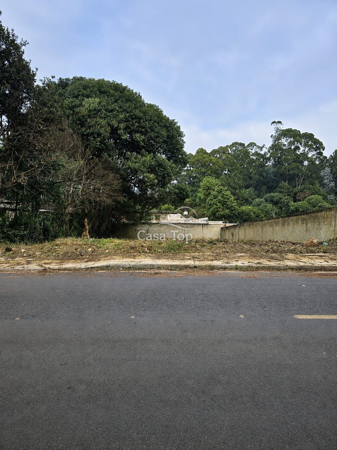 Terreno à venda Cará-Cará