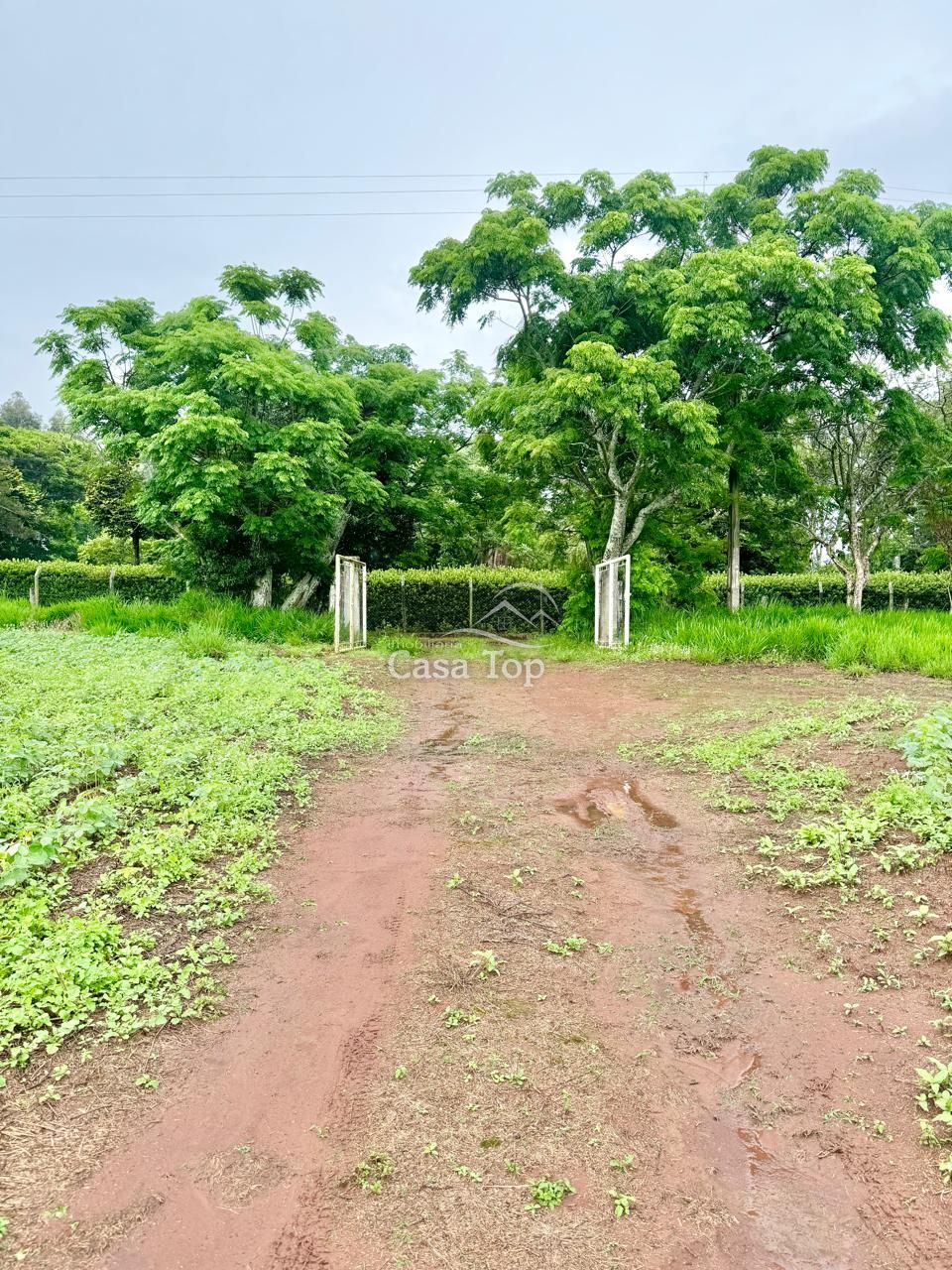 Terreno à venda Colônia Euridice - Chapada