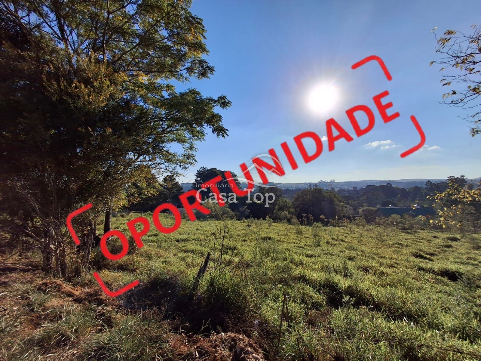 Terreno à venda Colônia Dona Luiza