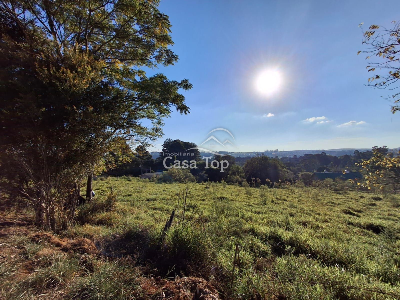 Terreno à venda Colônia Dona Luiza