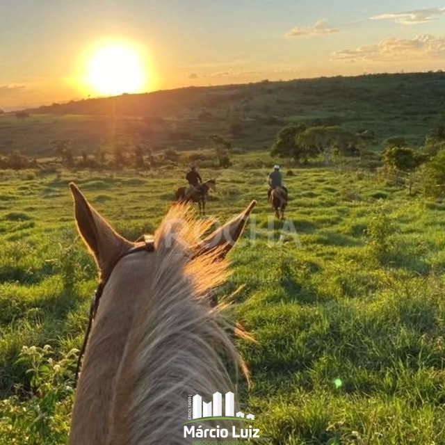 Haras à venda em Caruaru com 22,5 hectares