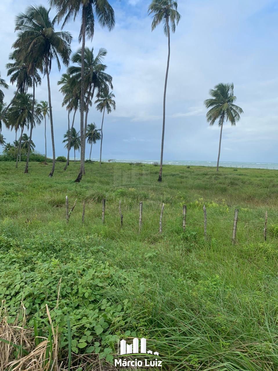 Área à venda na Praia de Peroba - AL