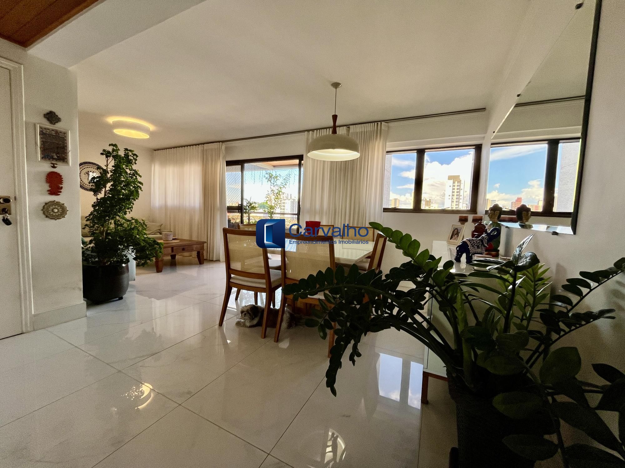 Apartamento a venda 3 quartos  2 vagas livres - Vila Itapura Campinas SP