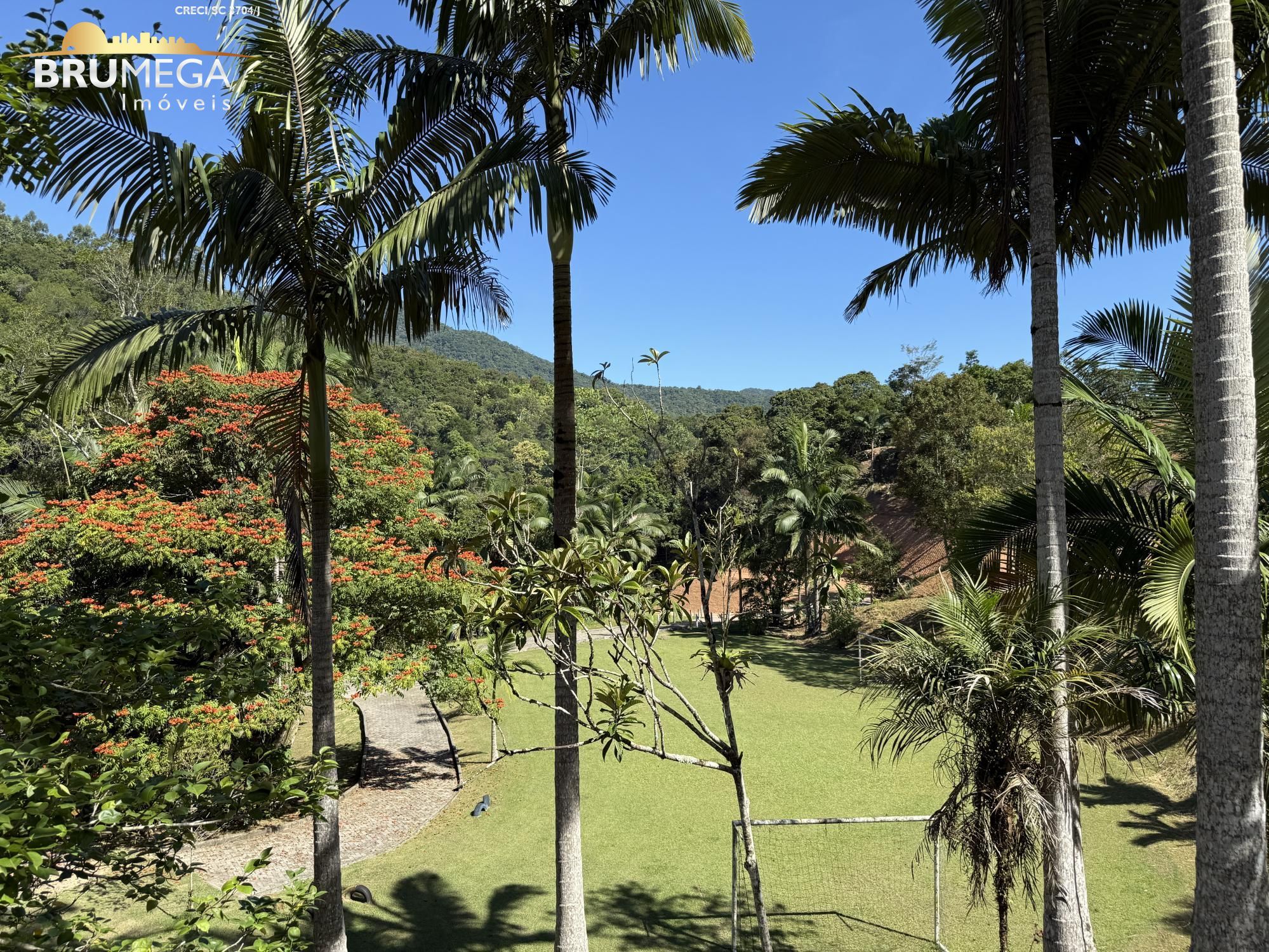 img152810352
