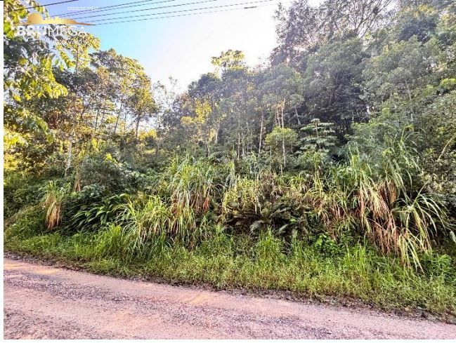 Lote/Terreno de 4168m² no bairro São Pedro, em Guabiruba | Eu Corretor