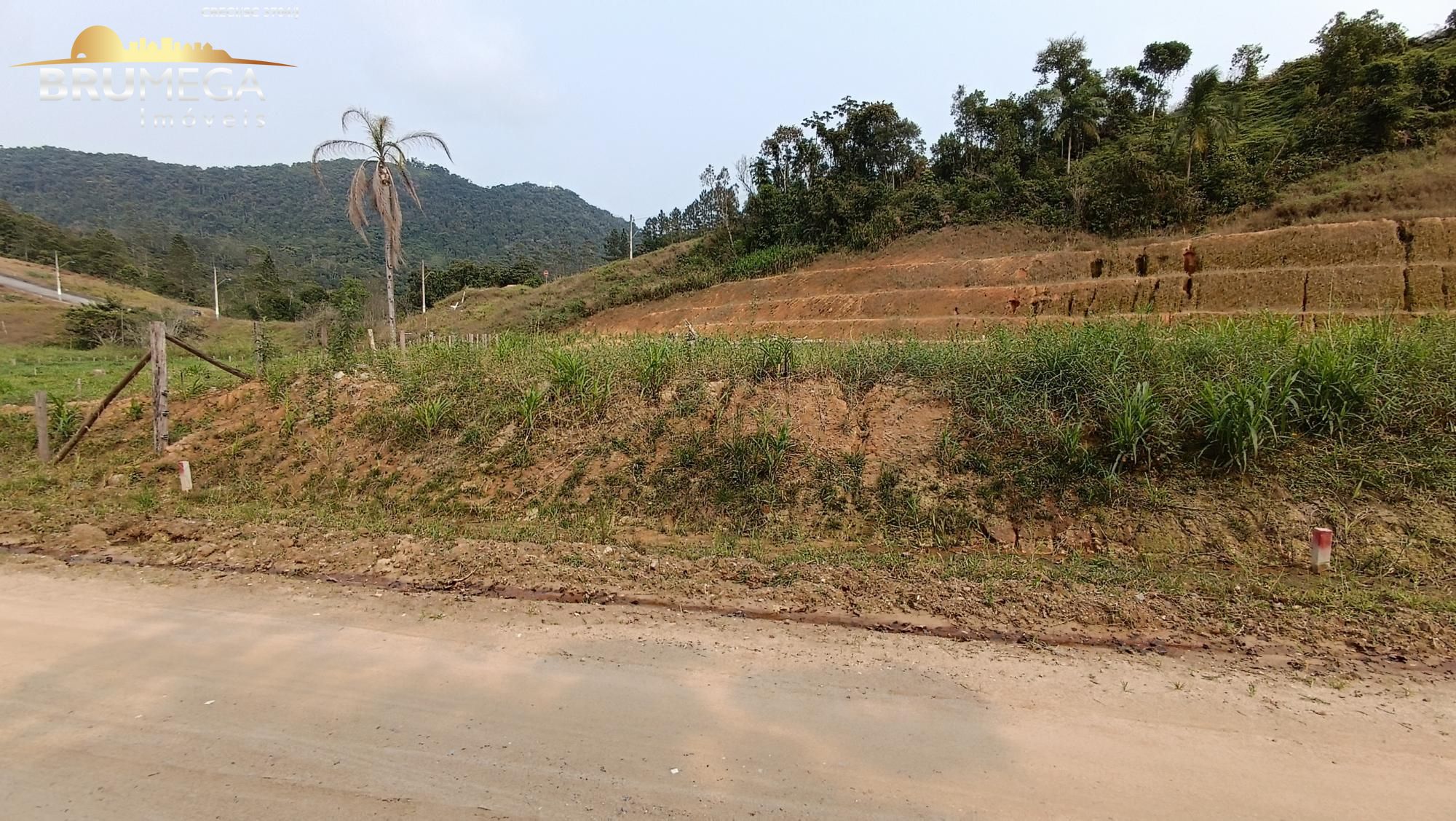 Lote/Terreno de 600m² no bairro Aimoré, em Guabiruba | Eu Corretor