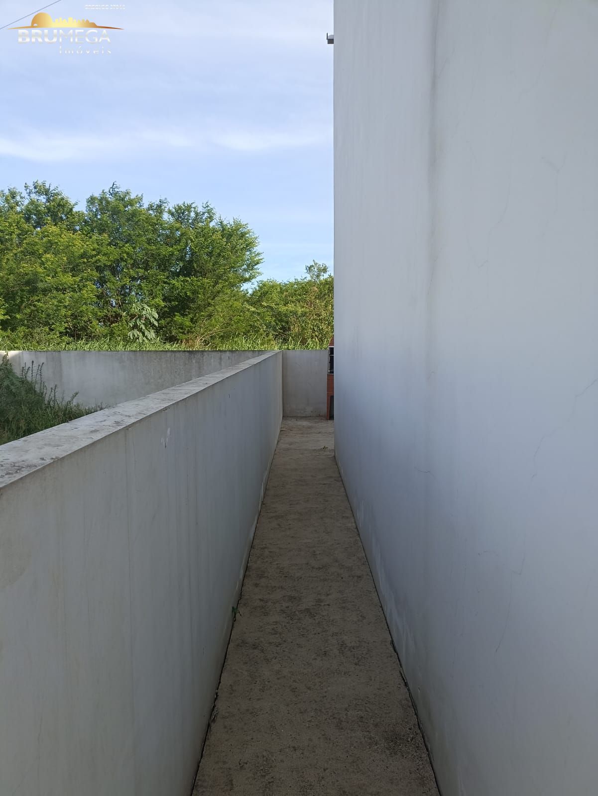 img260026335