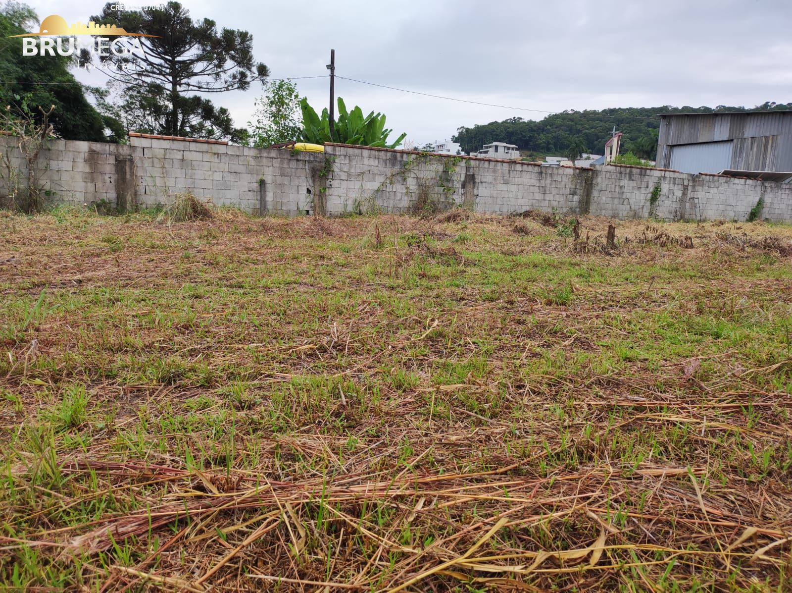 Lote/Terreno de 649m² no bairro Guarani, em Brusque | Eu Corretor