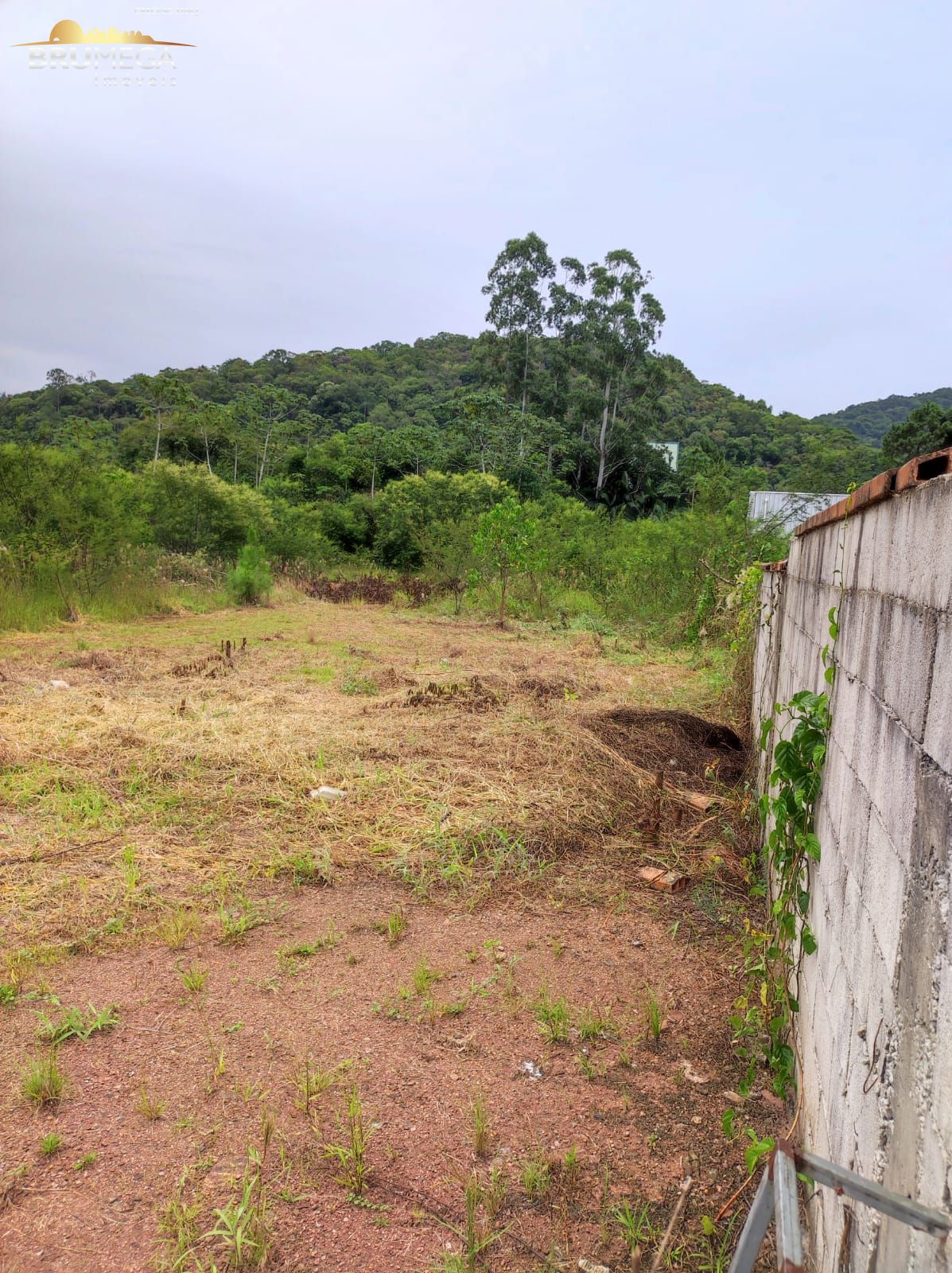 Lote/Terreno de 649m² no bairro Guarani, em Brusque | Eu Corretor