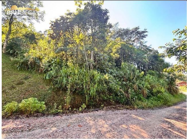 Lote/Terreno de 4168m² no bairro São Pedro, em Guabiruba | Eu Corretor