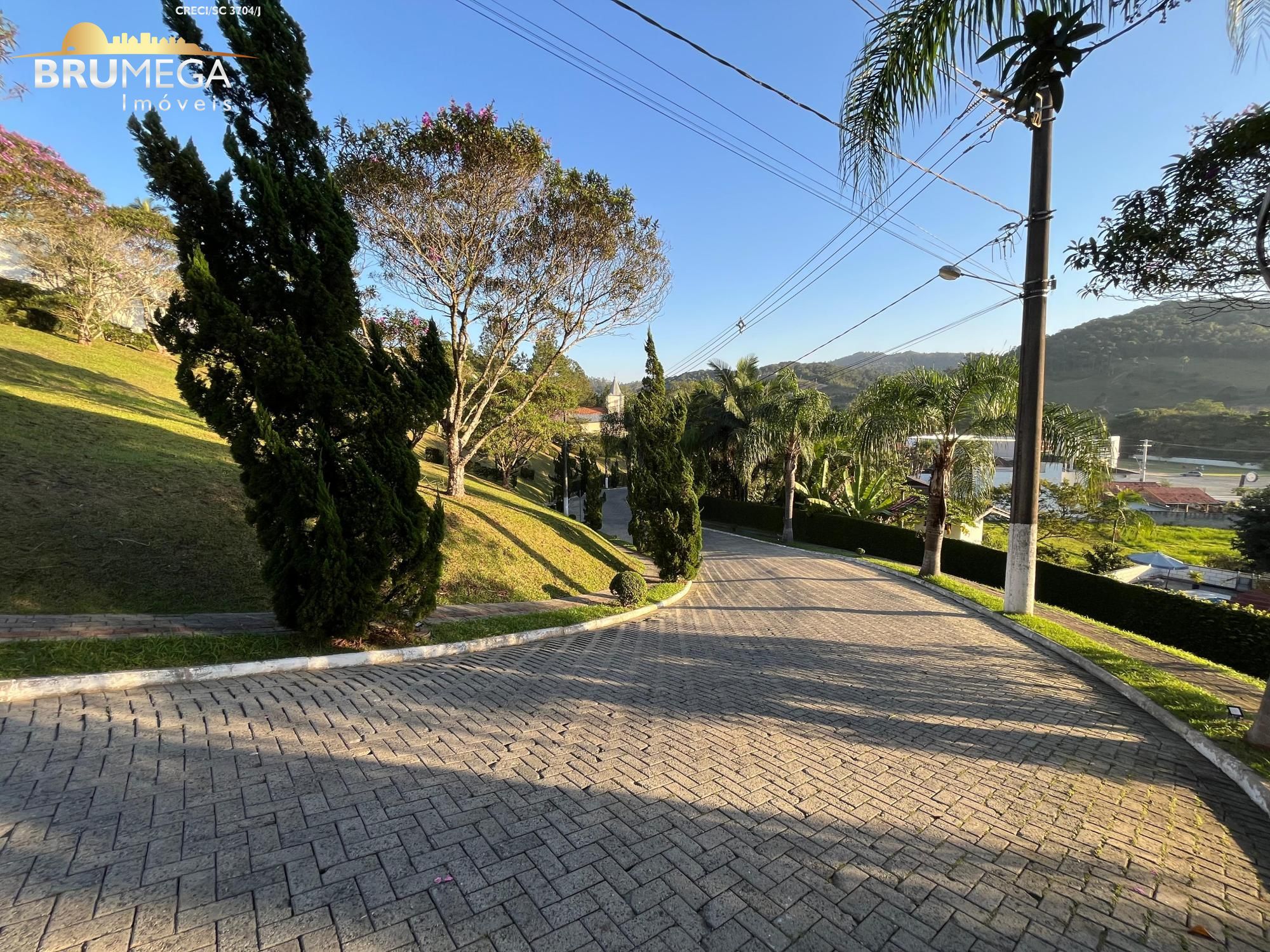 img47860782