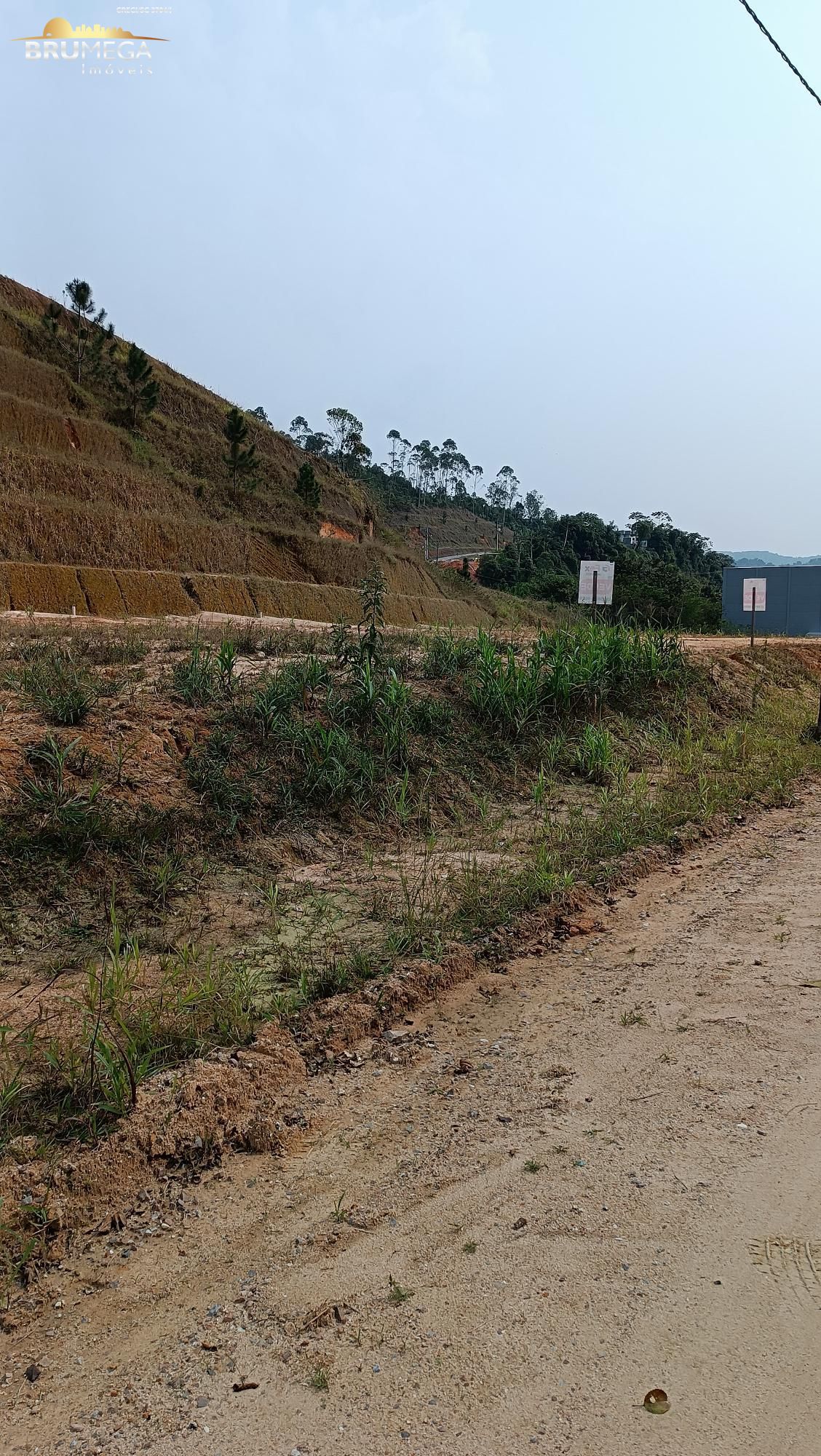 Lote/Terreno de 600m² no bairro Aimoré, em Guabiruba | Eu Corretor
