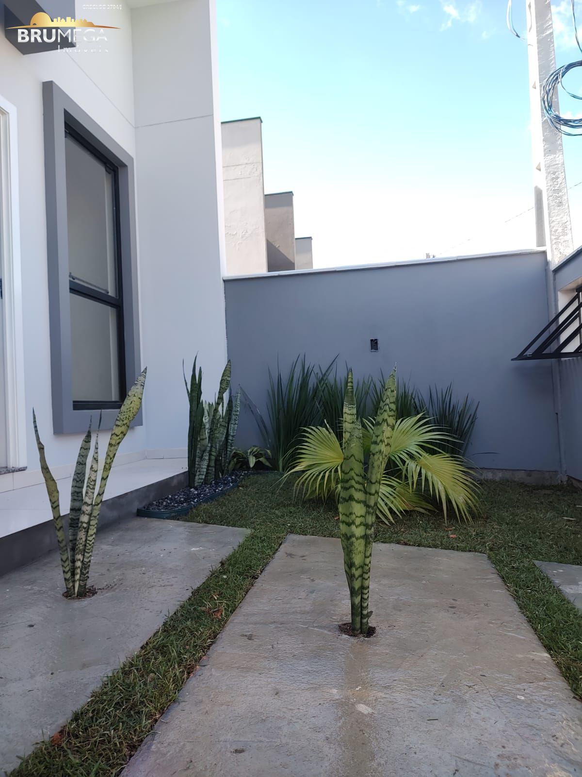 img181314493