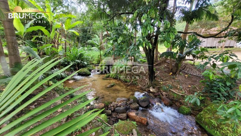 Lote/Terreno de 128000m² no bairro Centro, em Nova Trento | Eu Corretor