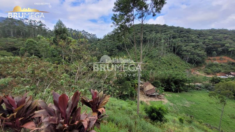 Lote/Terreno de 128000m² no bairro Centro, em Nova Trento | Eu Corretor