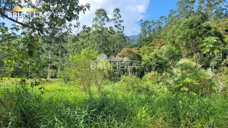 Lote/Terreno de 128000m² no bairro Centro, em Nova Trento | Eu Corretor