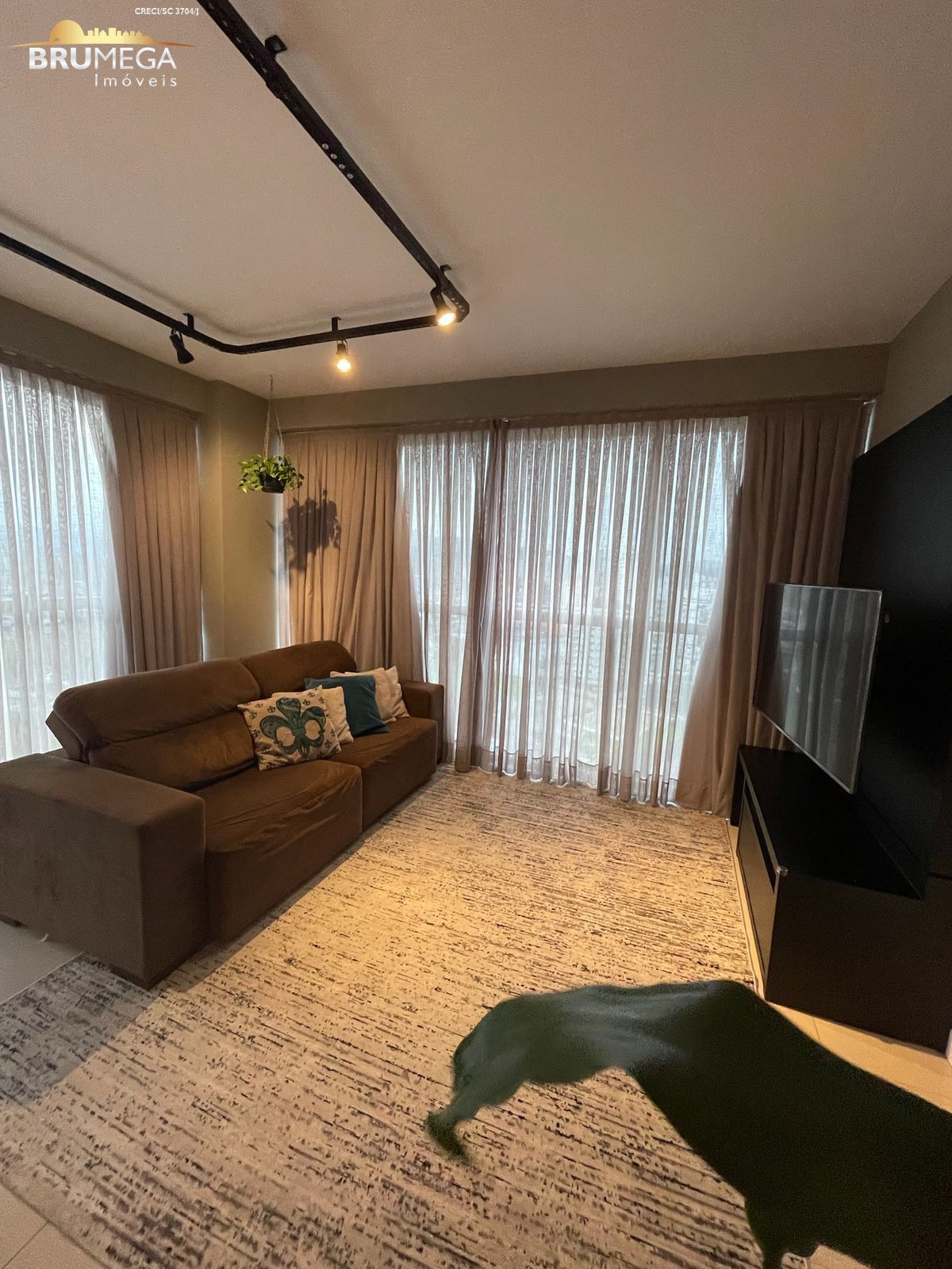 img191912398