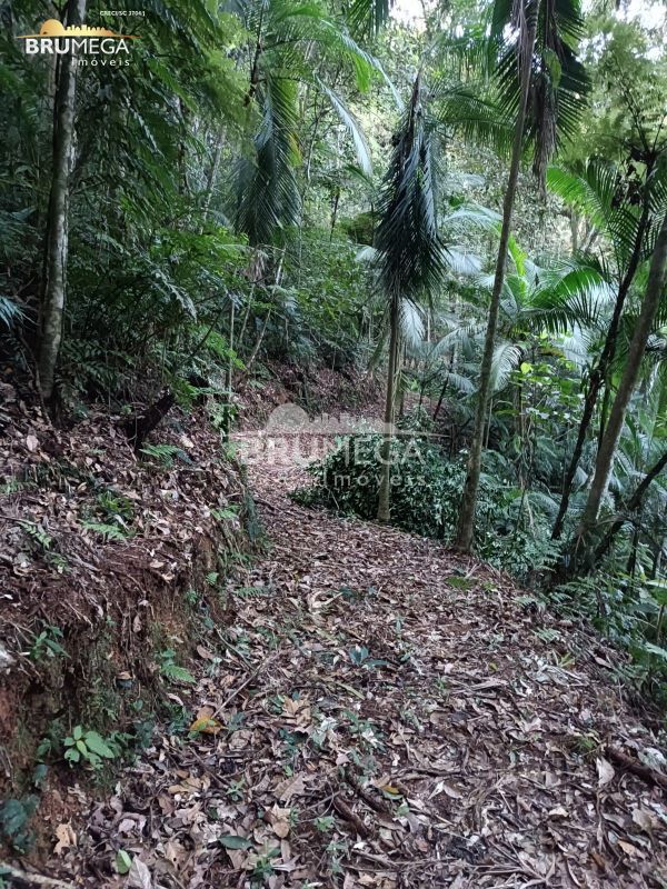Chácara de no bairro Planï¿½cie Alta, em Guabiruba | Eu Corretor