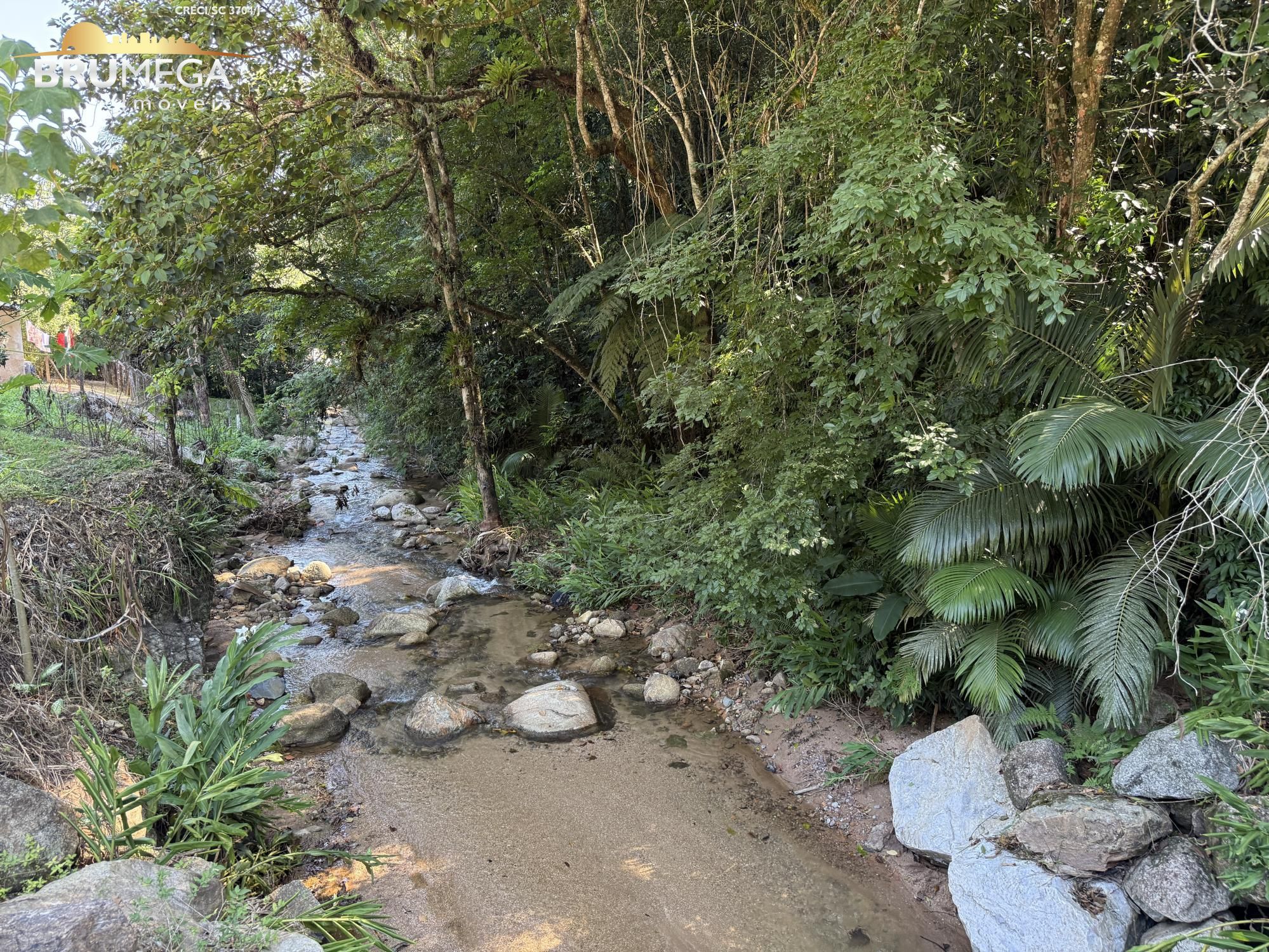 img152810385