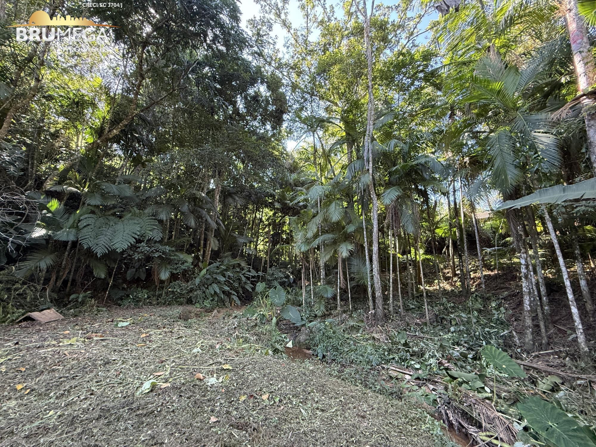img152810351