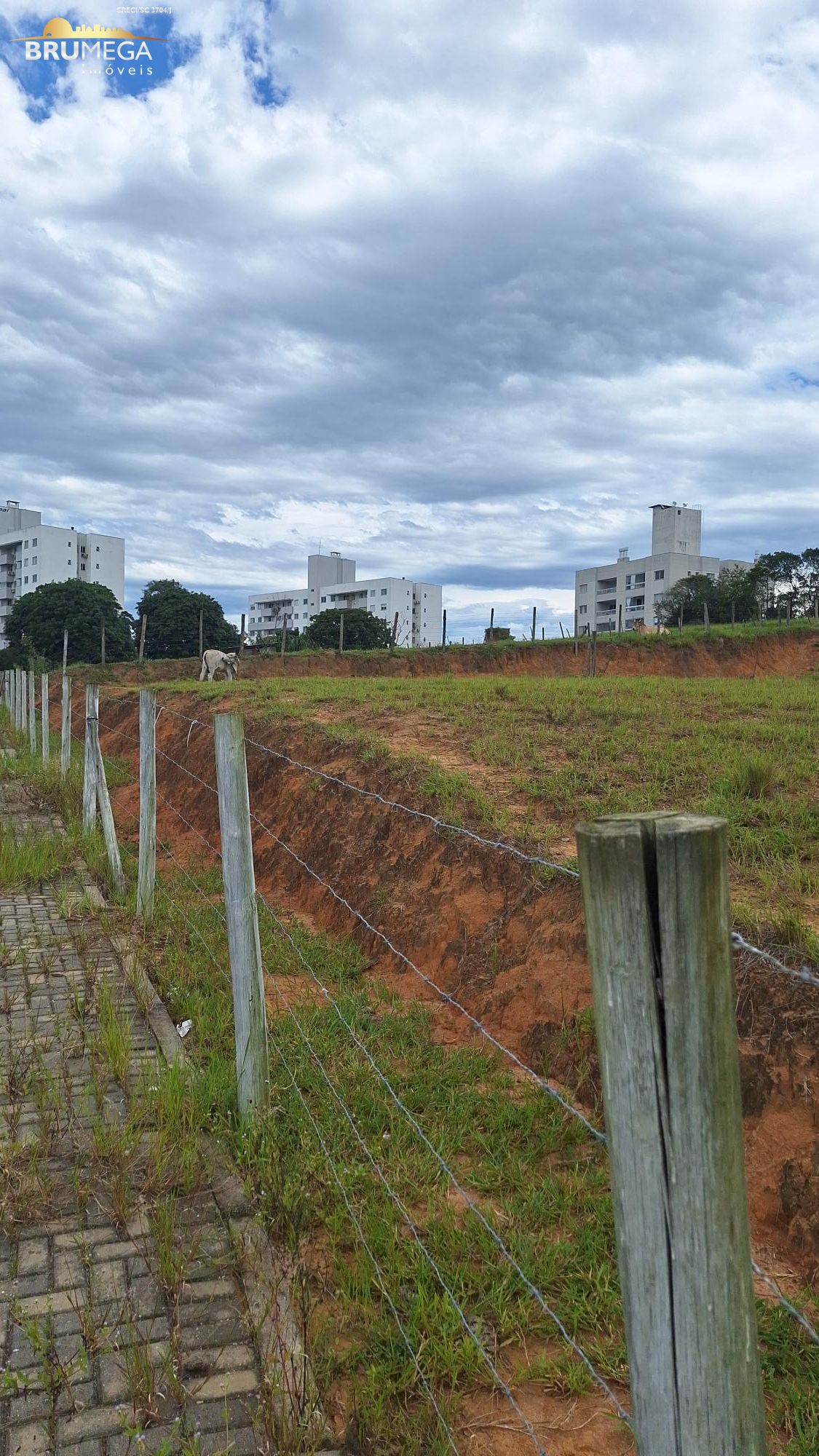 Lote/Terreno Comercial de 10200m² no bairro Passa Vinte, em Palhoça | Eu Corretor