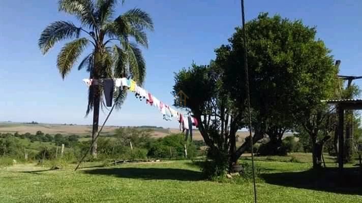 Fazenda à venda com 3 quartos, 100000m² - Foto 6