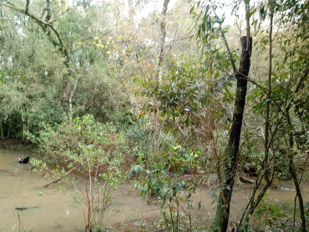 Terreno, 5000 m² - Foto 8