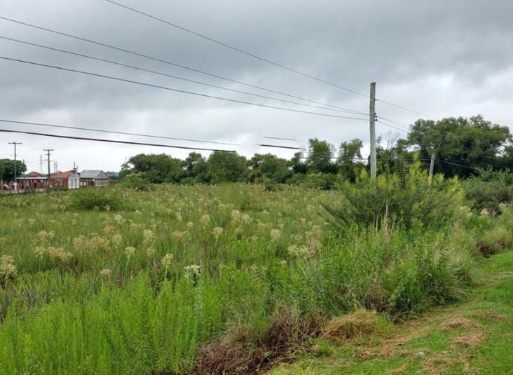 Terreno, 1 hectares - Foto 2