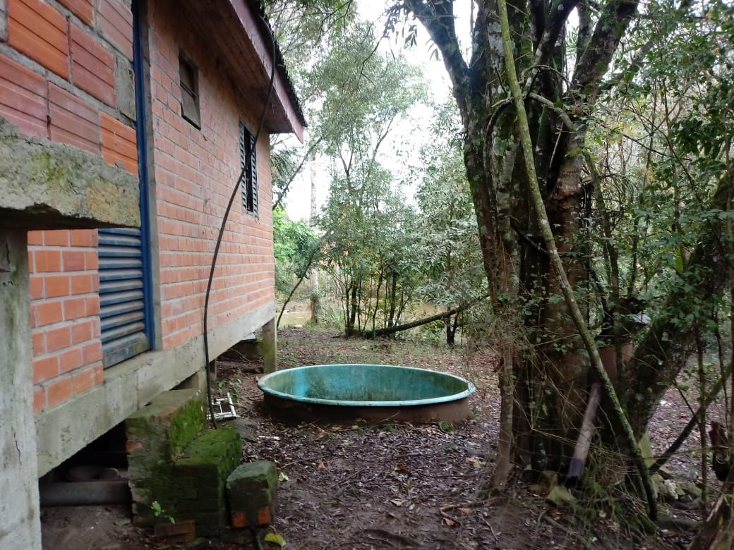 Terreno à venda com 2 quartos, 5000m² - Foto 6