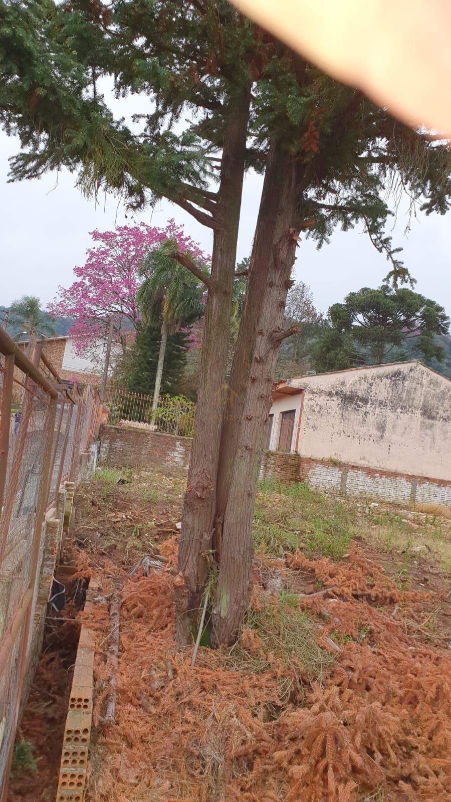 Terreno, 1245 m² - Foto 5