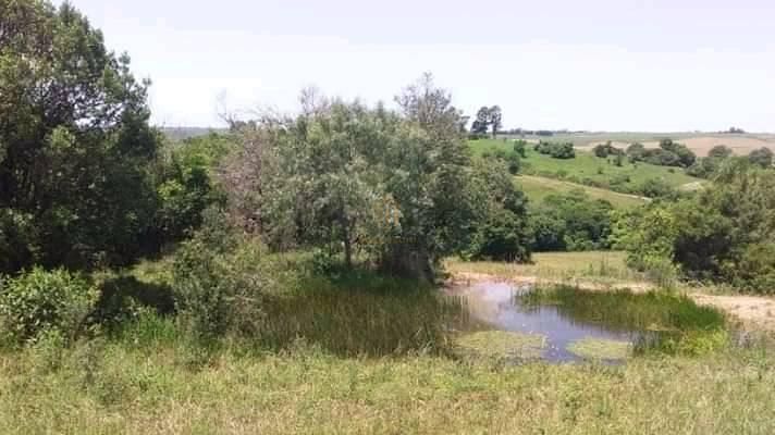 Fazenda à venda com 3 quartos, 100000m² - Foto 3