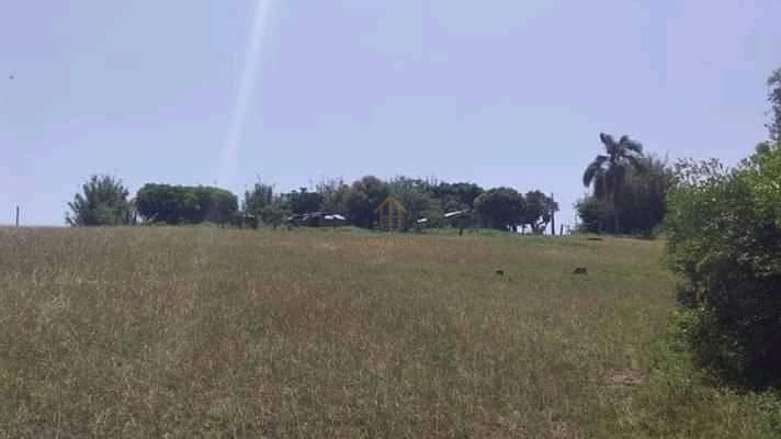 Fazenda à venda com 3 quartos, 100000m² - Foto 5