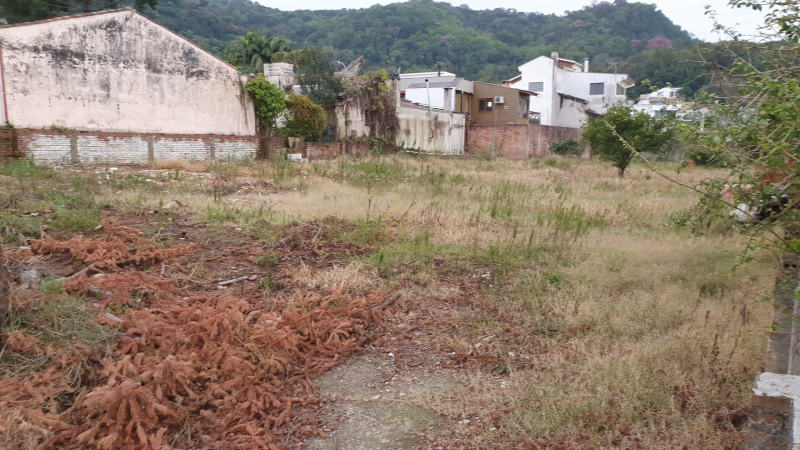 Terreno, 1245 m² - Foto 3