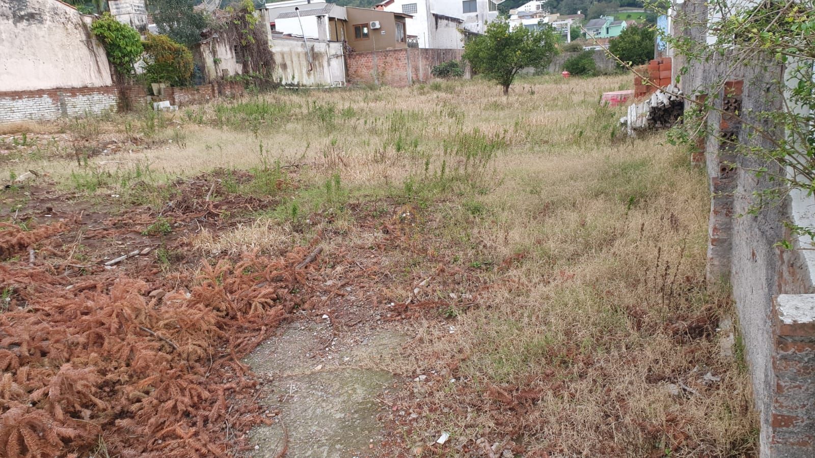 Terreno, 1245 m² - Foto 4