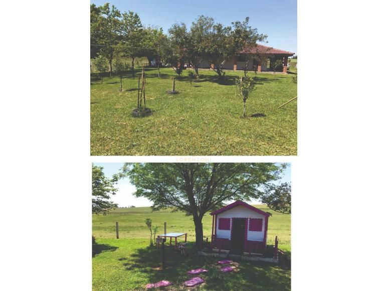 Chácara à venda com 2 quartos, 440m² - Foto 3