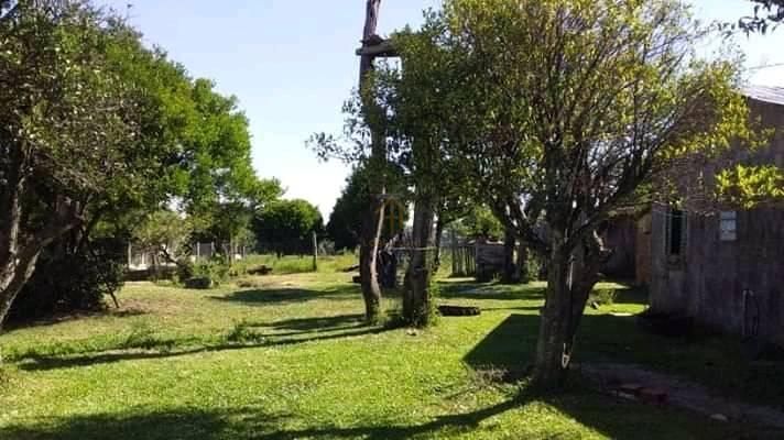 Chácara, 3 quartos, 10 hectares - Foto 4