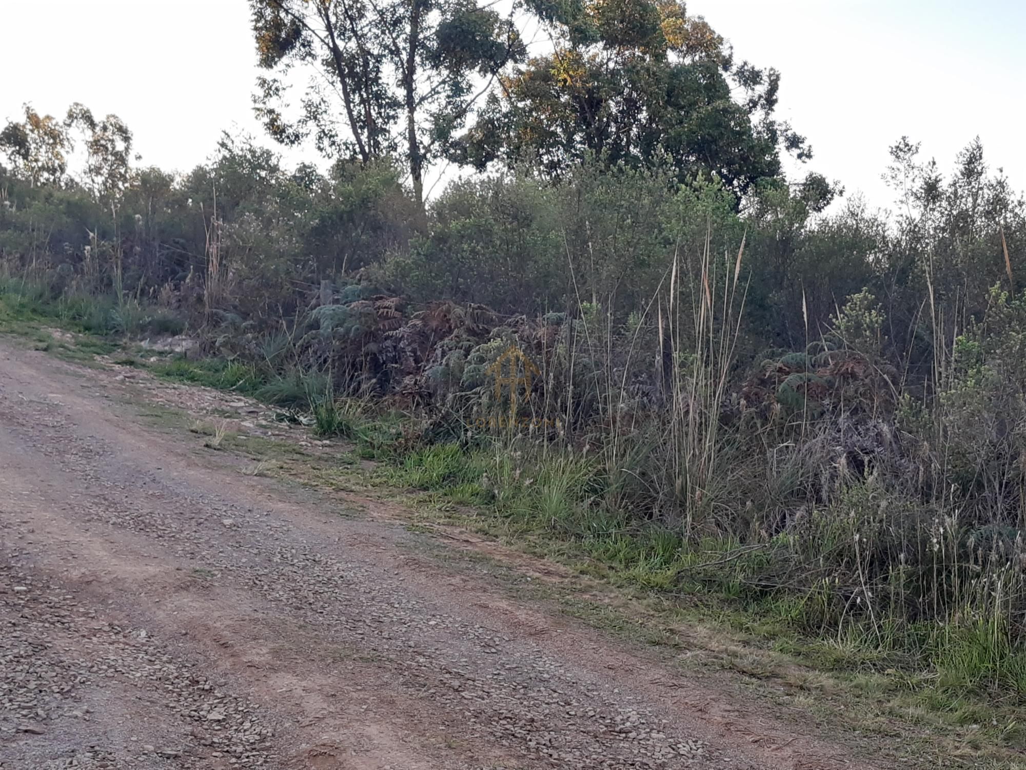 Terreno à venda, 1500m² - Foto 4